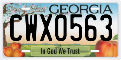 GA license plate CWX0563