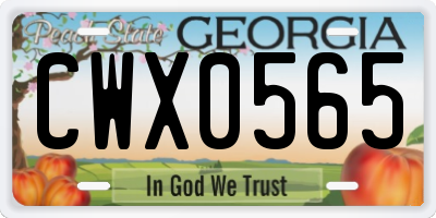 GA license plate CWX0565