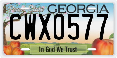 GA license plate CWX0577