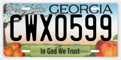 GA license plate CWX0599