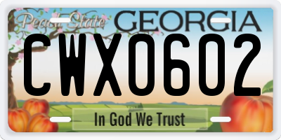 GA license plate CWX0602