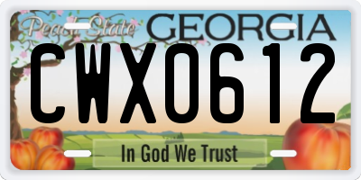GA license plate CWX0612