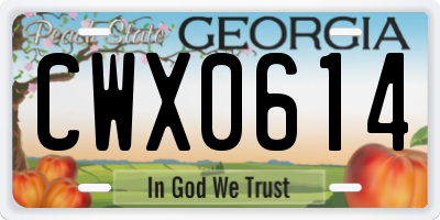 GA license plate CWX0614