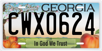 GA license plate CWX0624