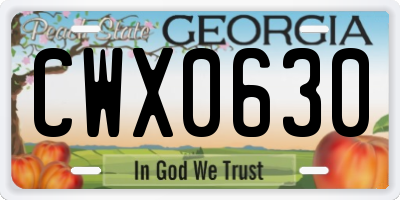 GA license plate CWX0630