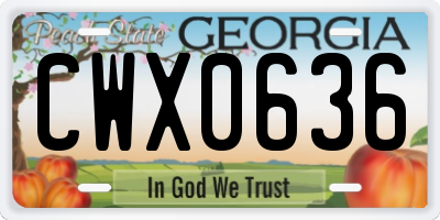 GA license plate CWX0636