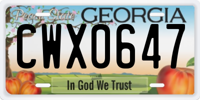 GA license plate CWX0647