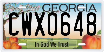 GA license plate CWX0648