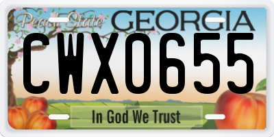 GA license plate CWX0655
