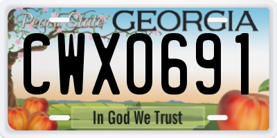 GA license plate CWX0691