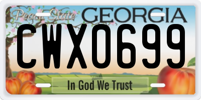GA license plate CWX0699