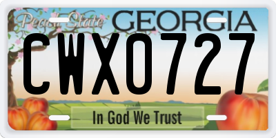 GA license plate CWX0727