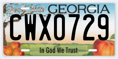 GA license plate CWX0729