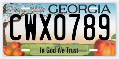 GA license plate CWX0789