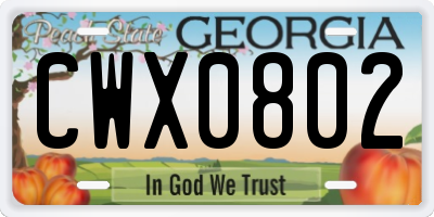 GA license plate CWX0802