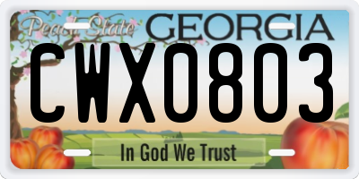 GA license plate CWX0803