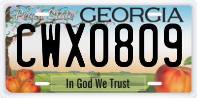 GA license plate CWX0809