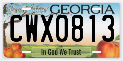 GA license plate CWX0813
