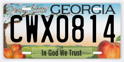 GA license plate CWX0814