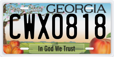 GA license plate CWX0818