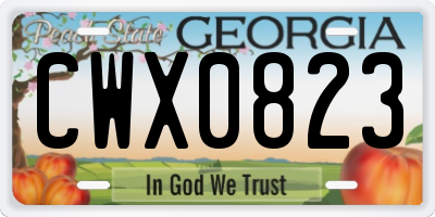GA license plate CWX0823