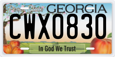 GA license plate CWX0830
