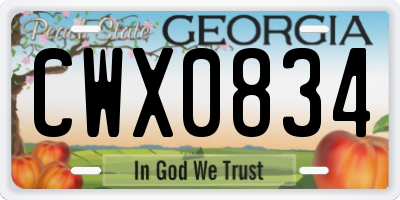 GA license plate CWX0834