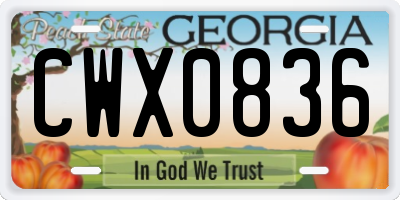 GA license plate CWX0836