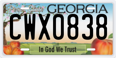 GA license plate CWX0838