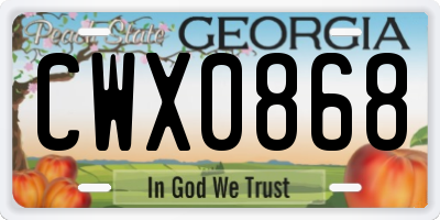 GA license plate CWX0868