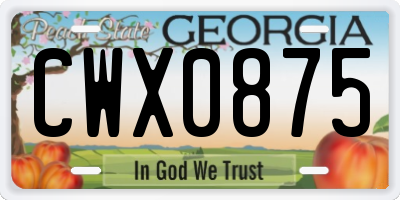 GA license plate CWX0875