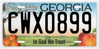 GA license plate CWX0899