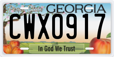 GA license plate CWX0917