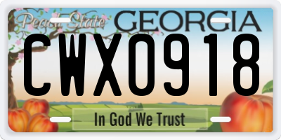 GA license plate CWX0918