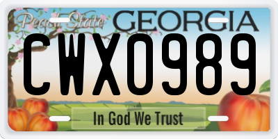 GA license plate CWX0989