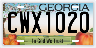 GA license plate CWX1020