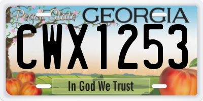 GA license plate CWX1253