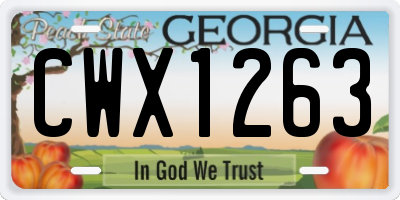 GA license plate CWX1263