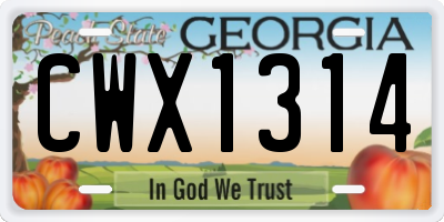 GA license plate CWX1314