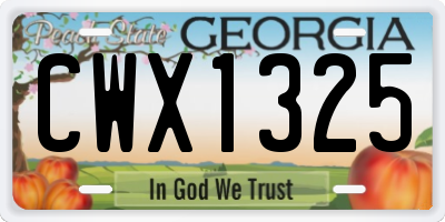 GA license plate CWX1325