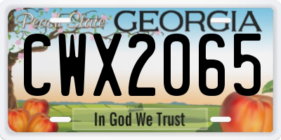 GA license plate CWX2065
