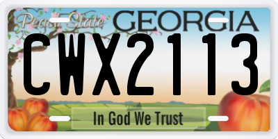 GA license plate CWX2113
