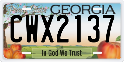 GA license plate CWX2137