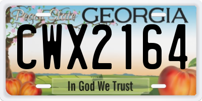 GA license plate CWX2164