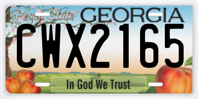 GA license plate CWX2165