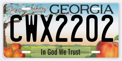 GA license plate CWX2202