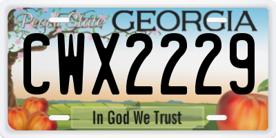 GA license plate CWX2229
