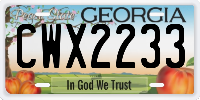 GA license plate CWX2233