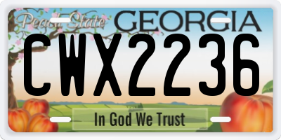 GA license plate CWX2236