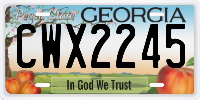 GA license plate CWX2245